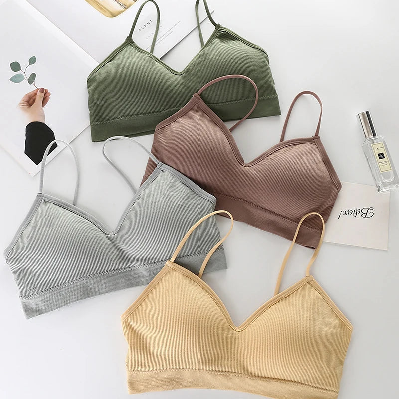 She Divine Sports Bra