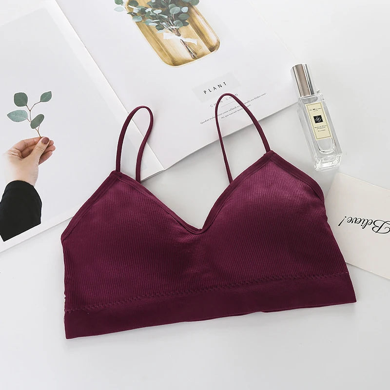 She Divine Sports Bra