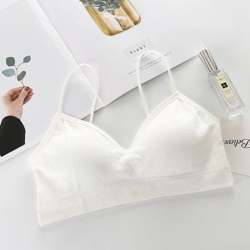 She Divine Sports Bra